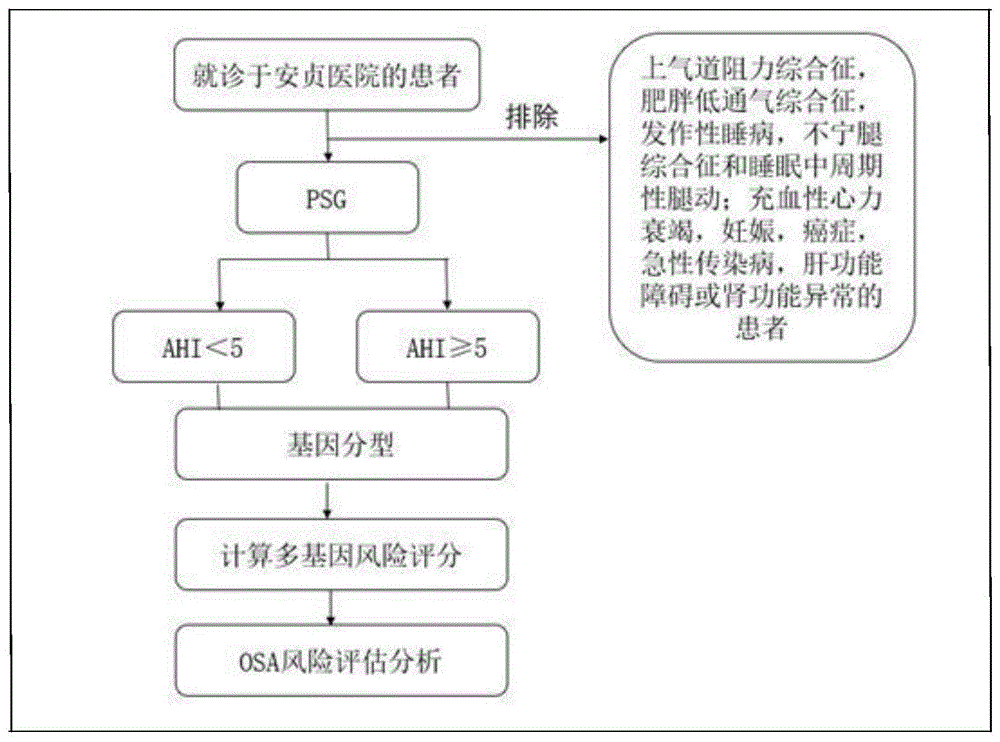 阻塞性睡眠呼吸暂停遗传风险评估试剂盒及其应用的制作方法