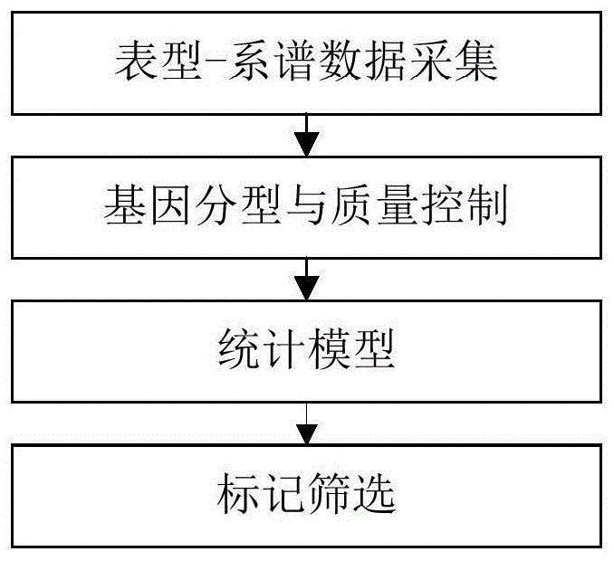 一种公猪有效精子数相关的分子遗传标记的制作方法