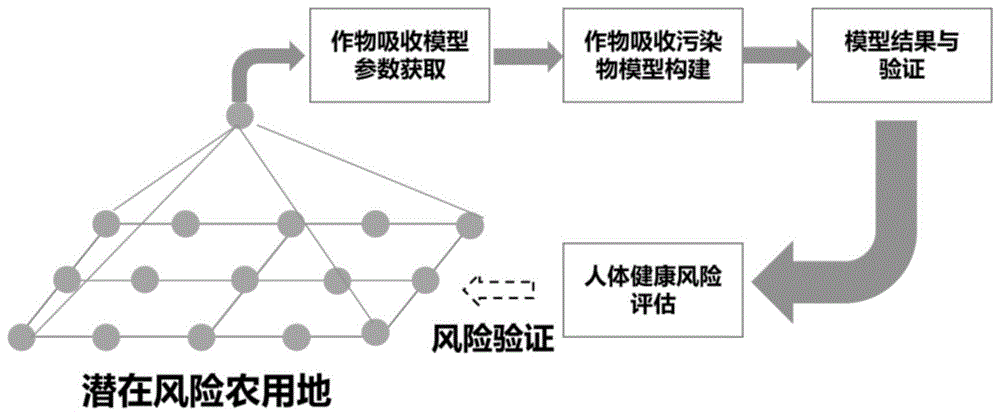 温室大棚蔬菜吸收邻苯二甲酸酯的评价方法及其在人体健康风险预测中的应用与流程