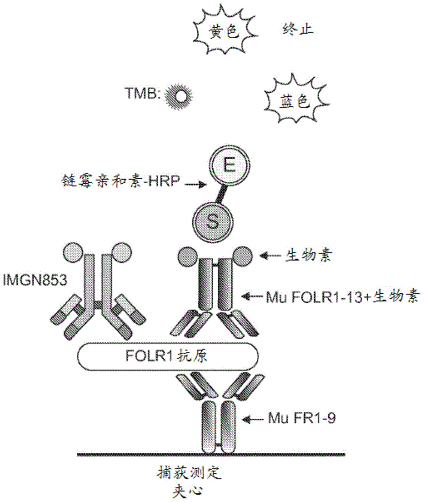 用于检测叶酸受体1的诊断测定和试剂盒的制作方法