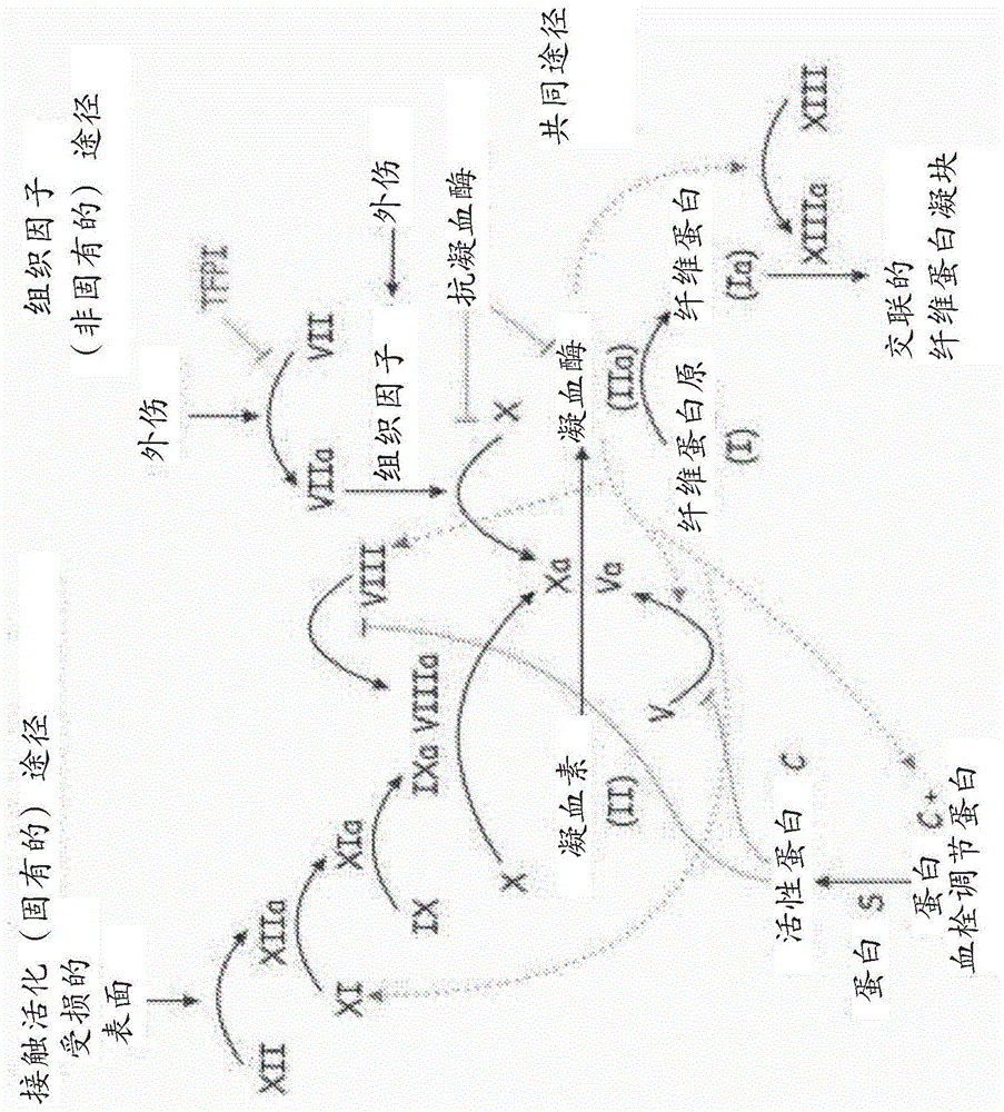 SERPINC1 iRNA组合物及其使用方法与流程