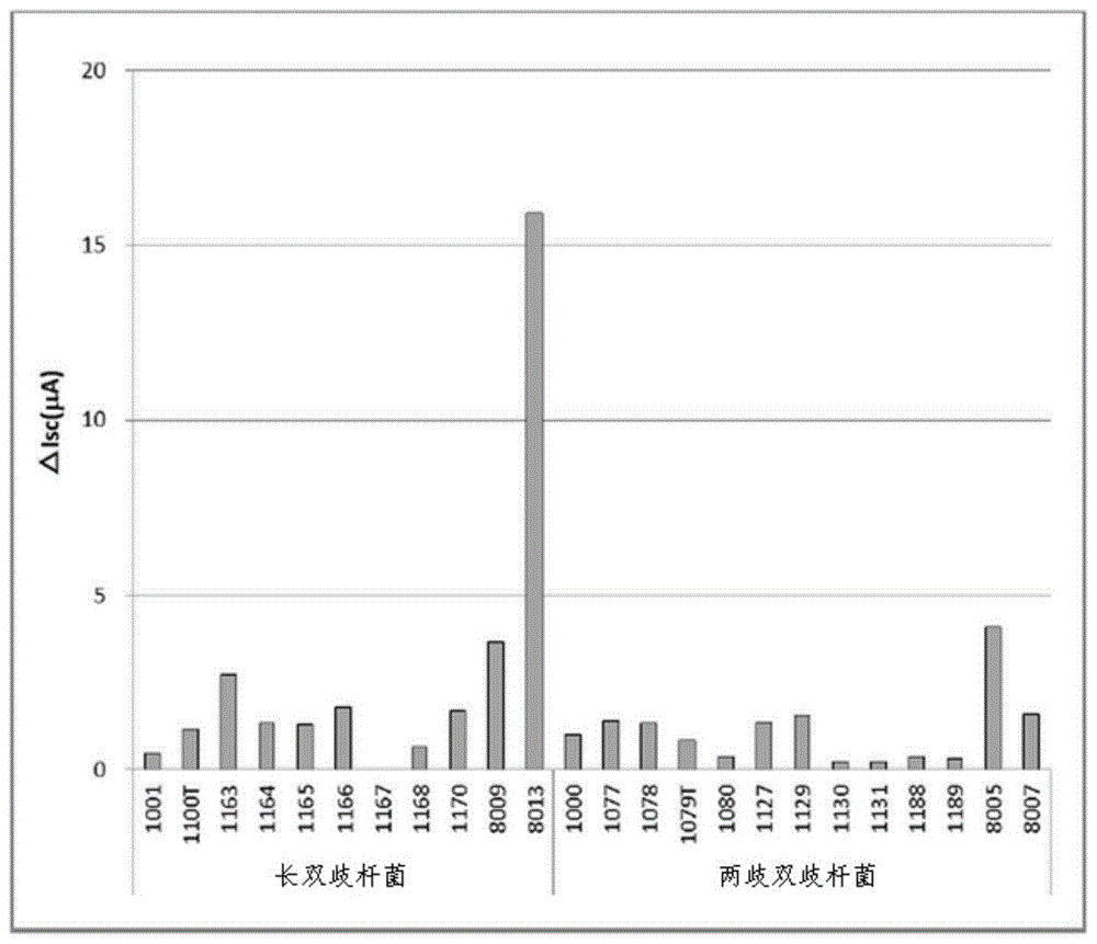 对肠道的离子跨细胞转运体的作用剂、氯离子通道活化剂、肾脏疾病的预防或治疗剂或者排便促进剂的制作方法