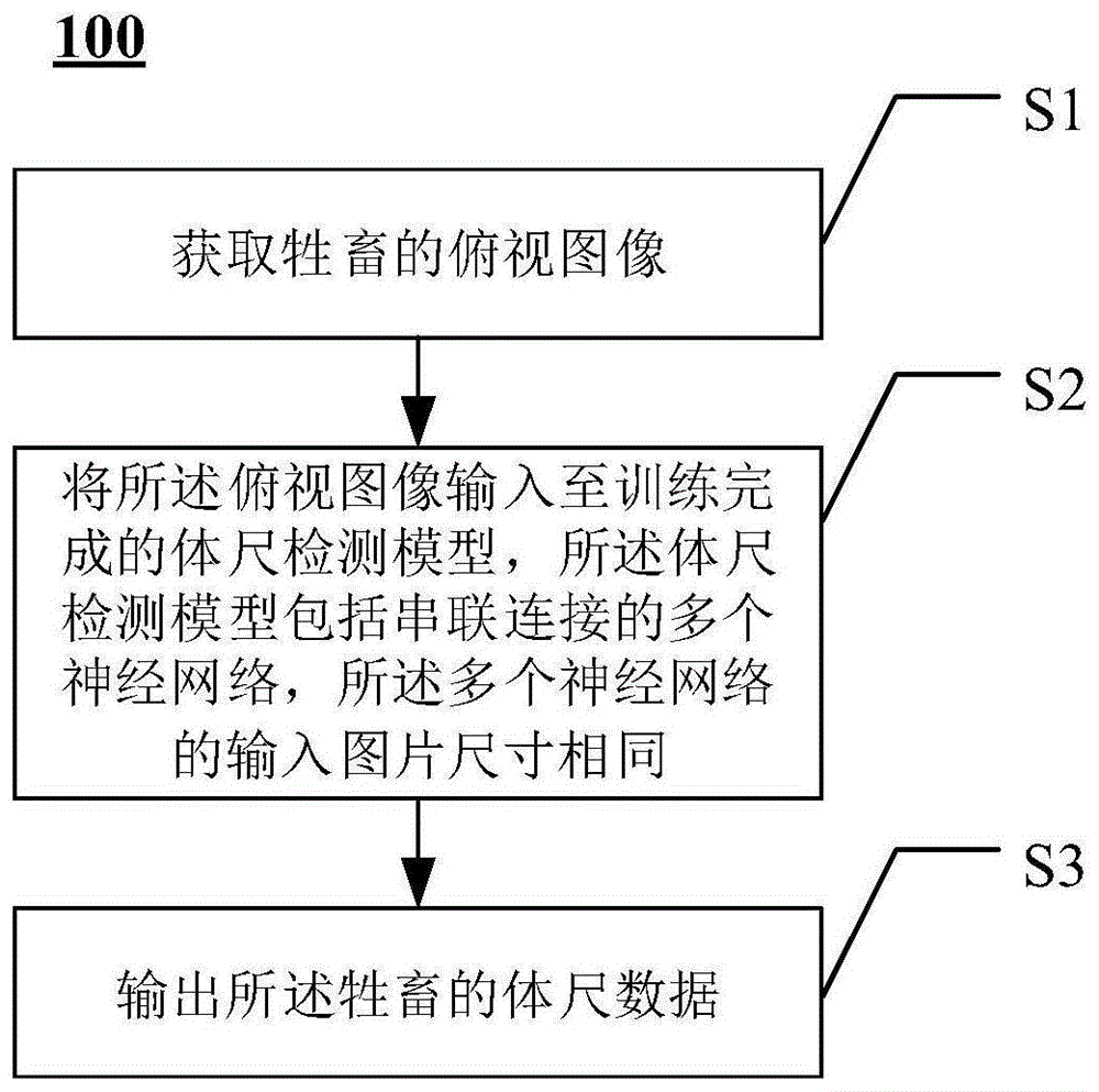 牲畜体尺检测方法与装置与流程