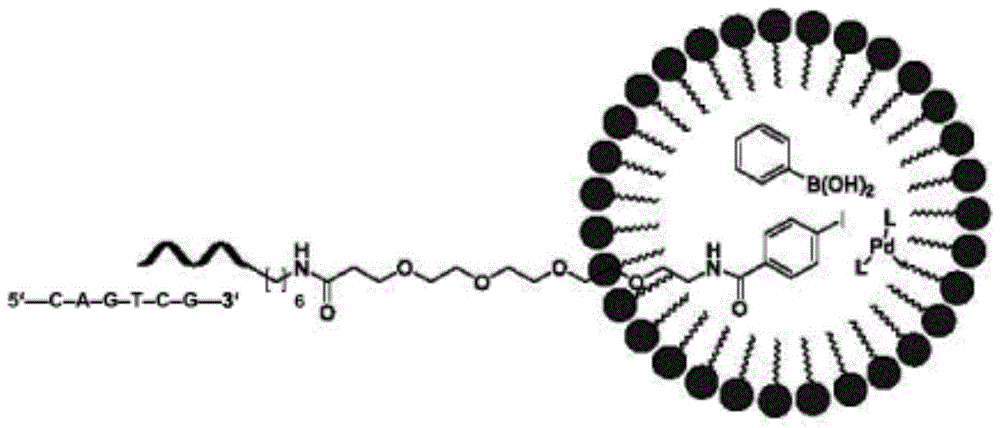 通过胶束催化合成dna缀合物的方法与流程
