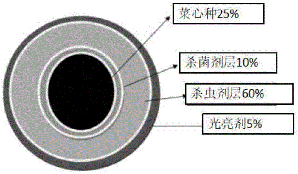 一种丸粒化包衣及其制备方法与流程