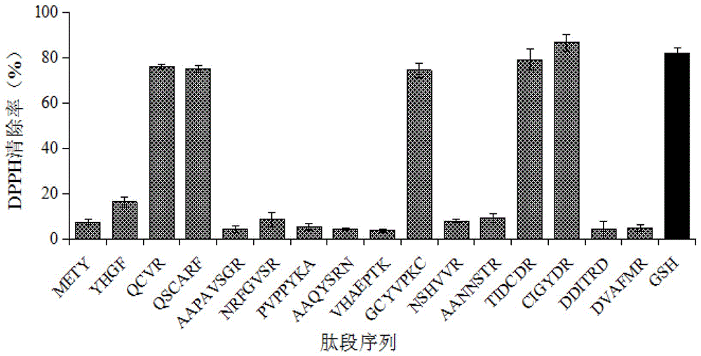 一种抗氧化肽及其应用的制作方法