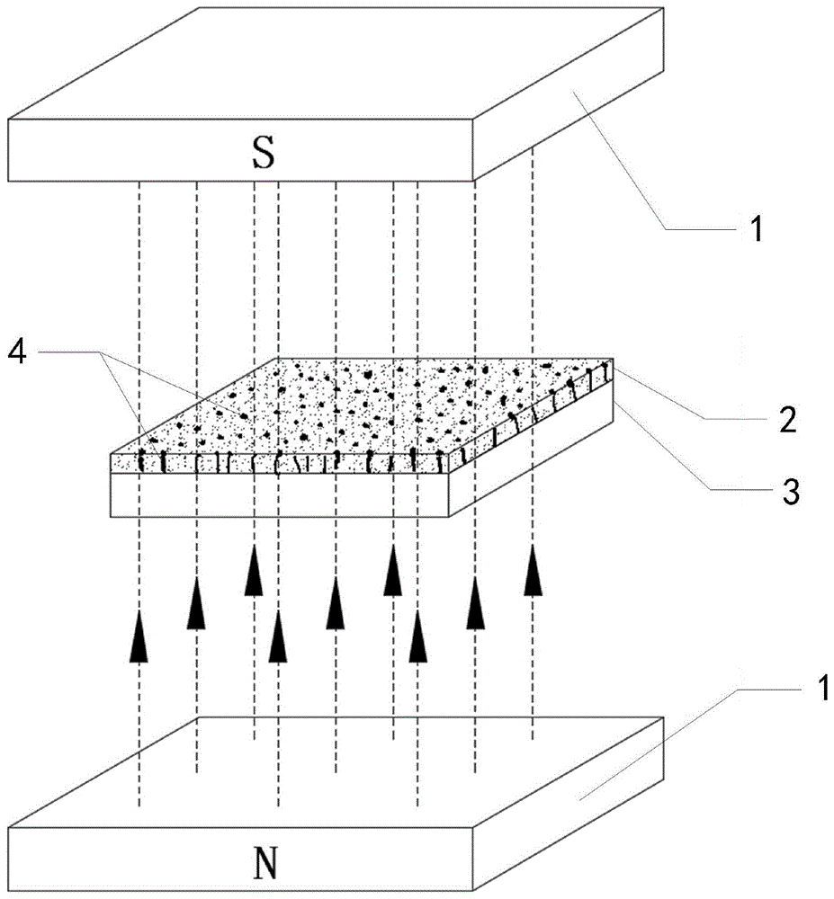 高透过率磁流变弹性体薄膜的制备方法与应用与流程