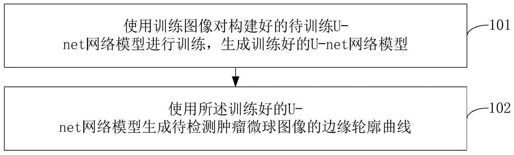 基于U-net网络模型的肿瘤微球轮廓检测方法及装置与流程