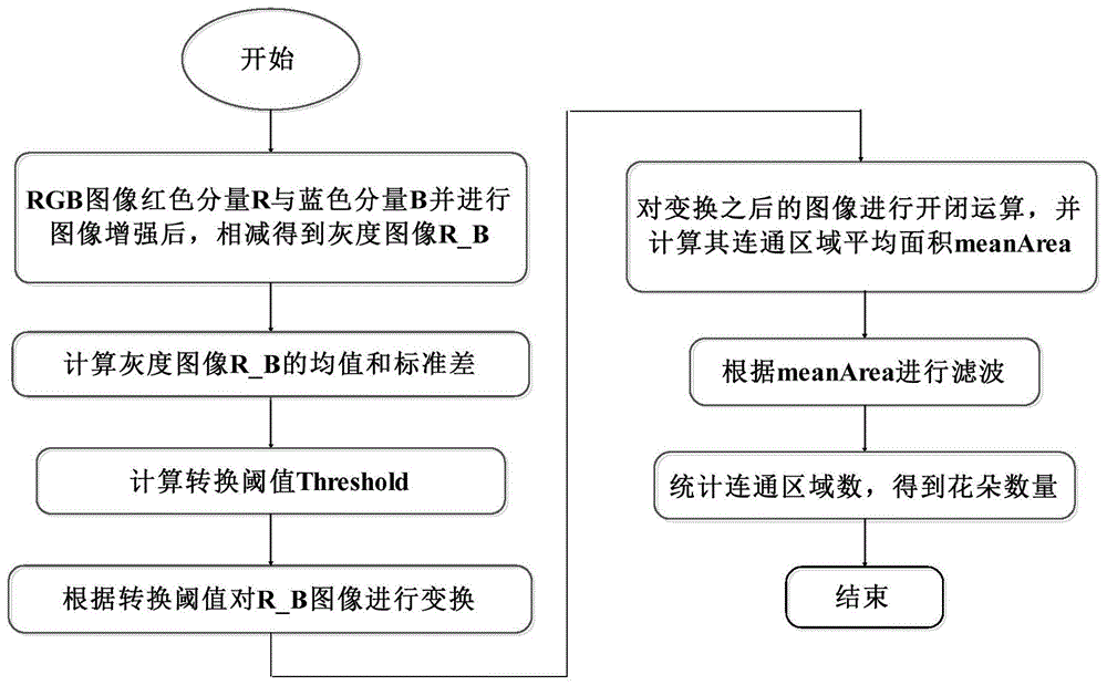 一种植物花朵数量检测方法与流程