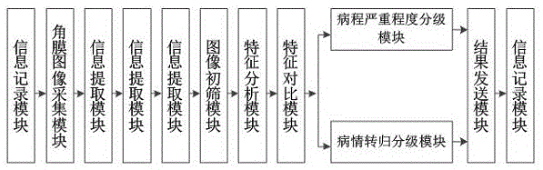 一种利用活体共聚焦显微镜图像智能分析角膜神经纤维的系统的制作方法