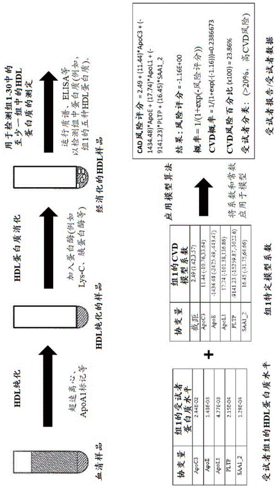 HDL相关蛋白质生物标记物组的检测的制作方法