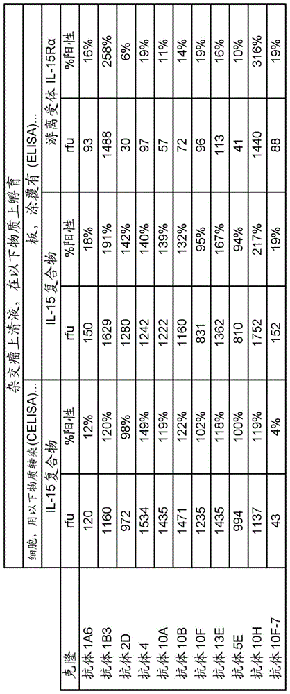 特异性地结合人IL-15的抗体及其用途的制作方法