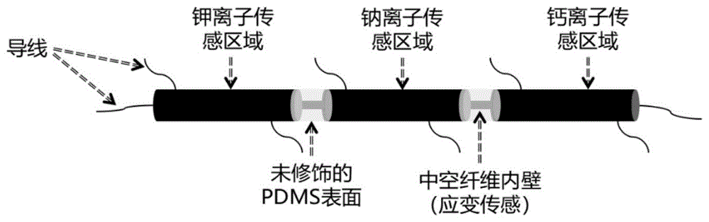 一种具有中空结构的柔性可拉伸纤维及其制备方法与应用与流程