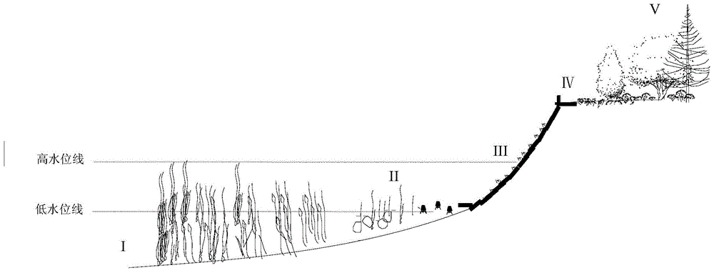 一种多功能河岸生物多样性维持结构与构建方法与流程