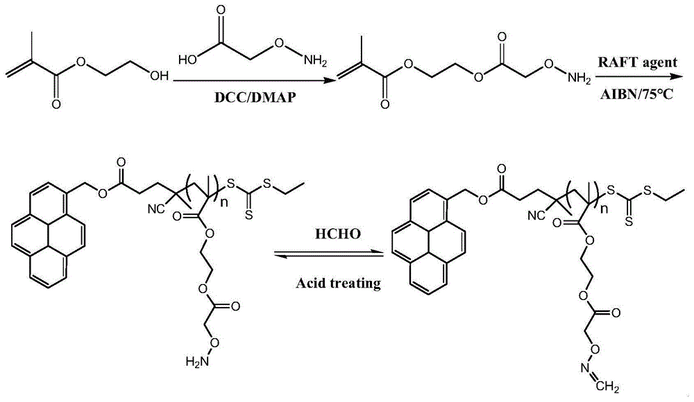 一种含氨氧基结构的聚合物和甲醛吸附剂及其制备方法与流程