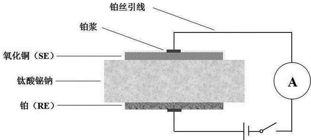 一种钙钛矿固体电解质电流型NO2传感器及其制备方法与流程