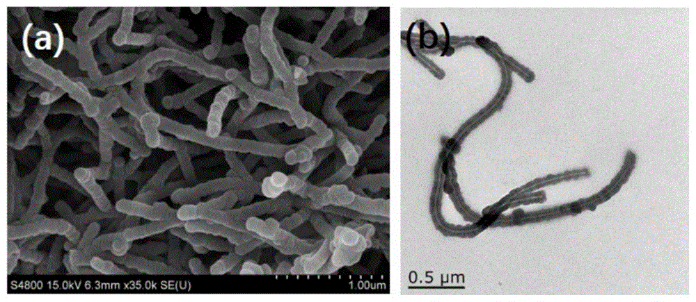 樟脑磺酸掺杂的聚吡咯纳米纤维材料,制备方法及应用与流程