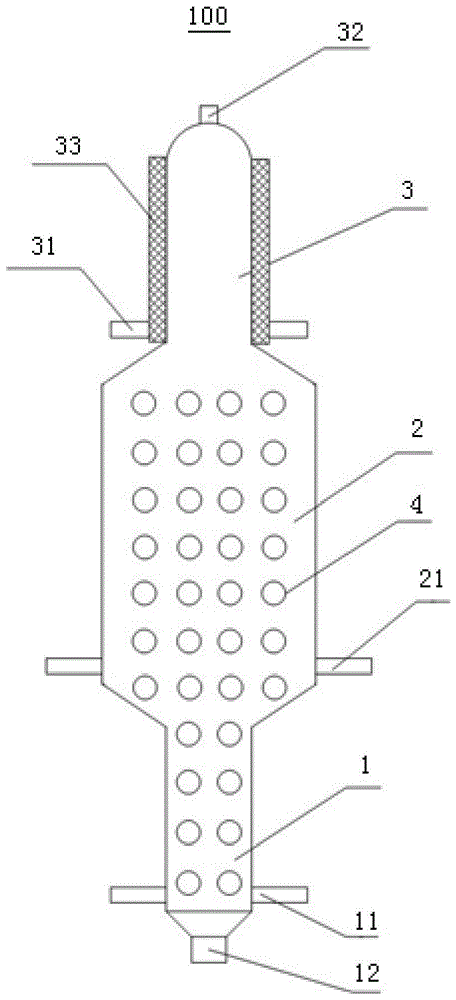 生物质与煤共热解反应器的制作方法