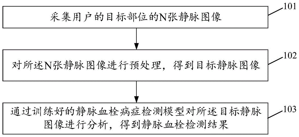 静脉血栓检测方法和静脉血栓检测装置与流程