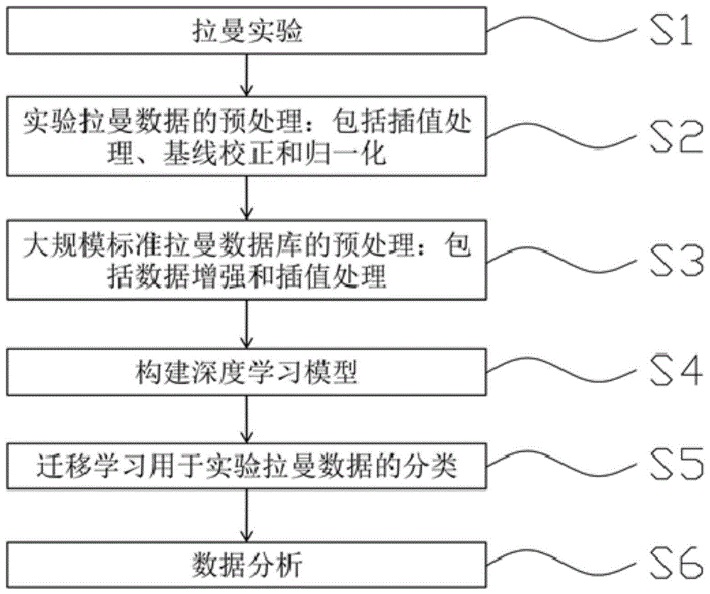 一种基于迁移学习的拉曼光谱智能分析方法与流程