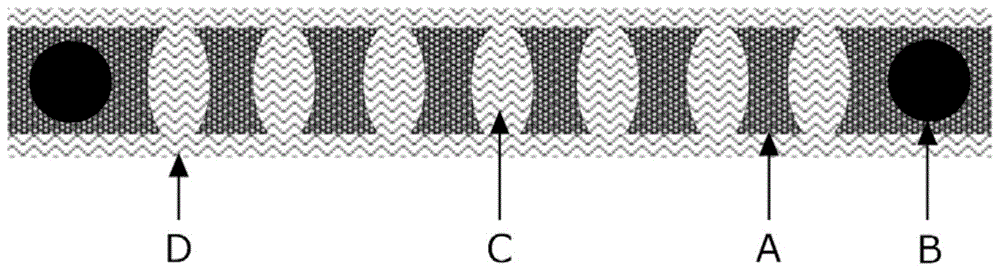 以网布增强的平板式多孔膜为基体的阳离子交换膜及其制造方法与流程