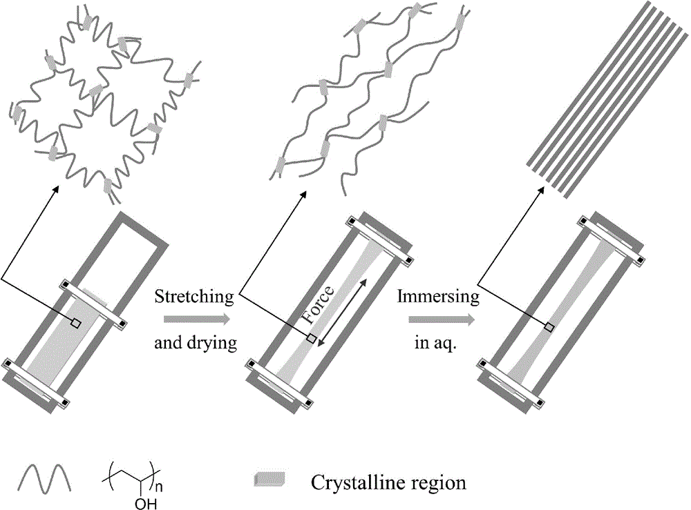 一种高强度取向型聚乙烯醇水凝胶的制备方法及应用与流程