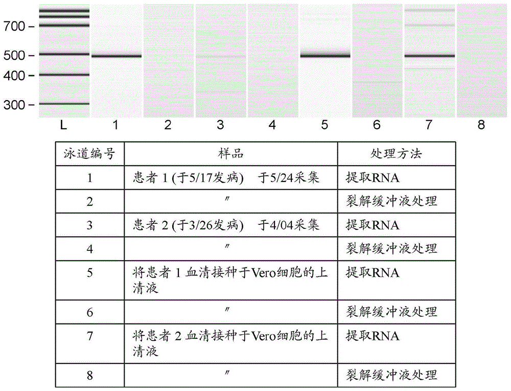 抗严重发热伴血小板减少综合征病毒的药物的制作方法