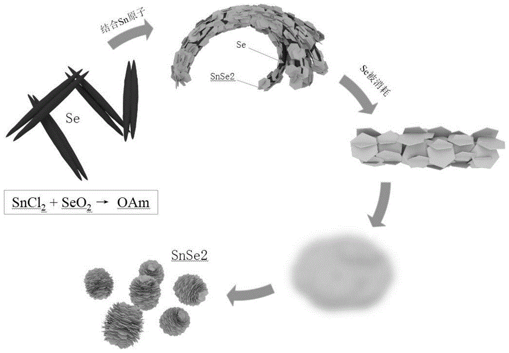 一种纳米花结构的二硒化锡及其制备方法与流程