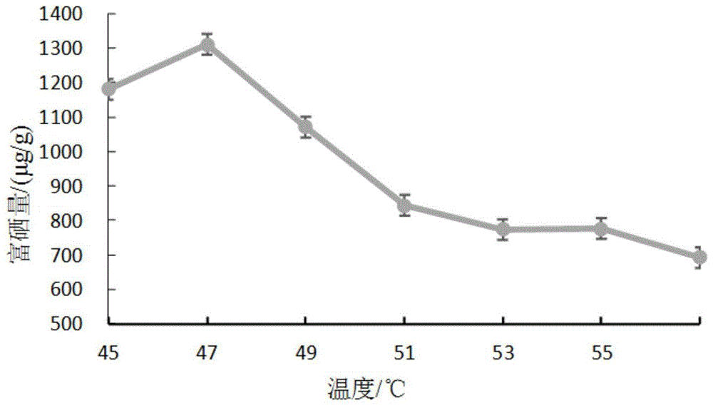 一种提高鼠李糖乳杆菌富硒效果的培养方法与流程