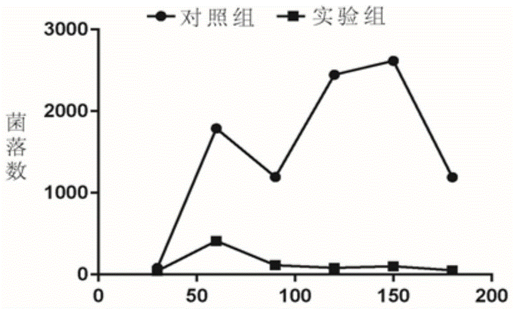 黄芪多糖壳聚糖纳米粒的制备方法及其用途与流程