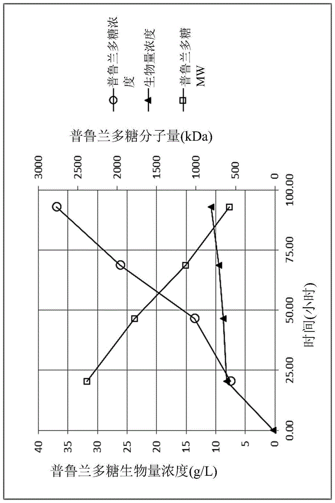 普鲁兰多糖胶囊的制作方法