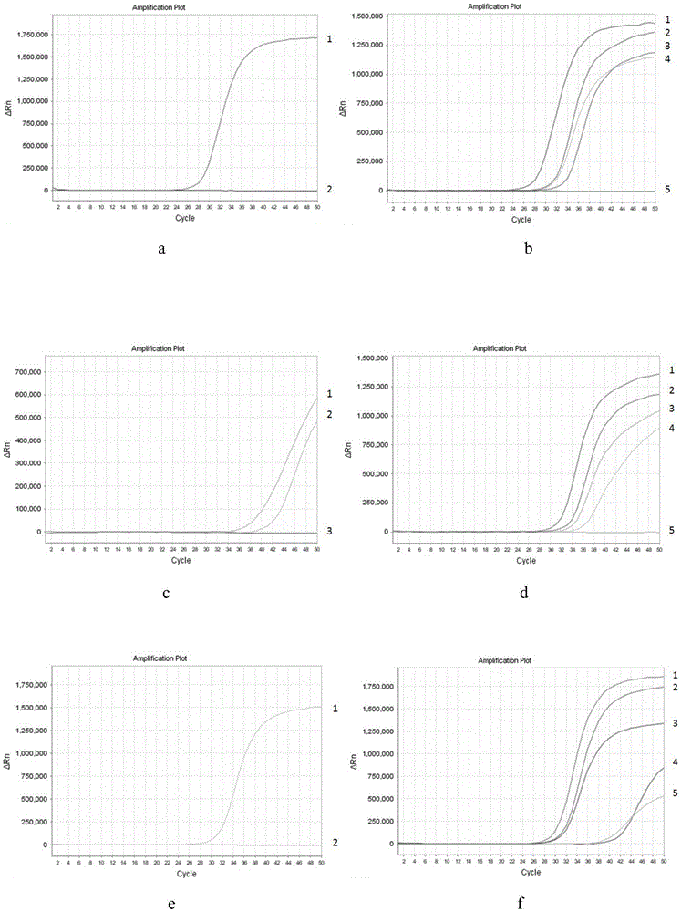 人SGIP1、SCAND3和MYO1G基因甲基化检测试剂盒的制作方法