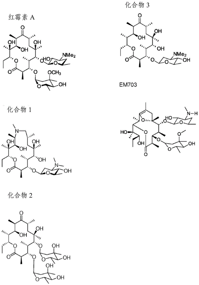 新型免疫刺激大环内酯的制作方法