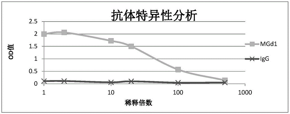 抗MG7-Ag的单克隆抗体及其用途的制作方法