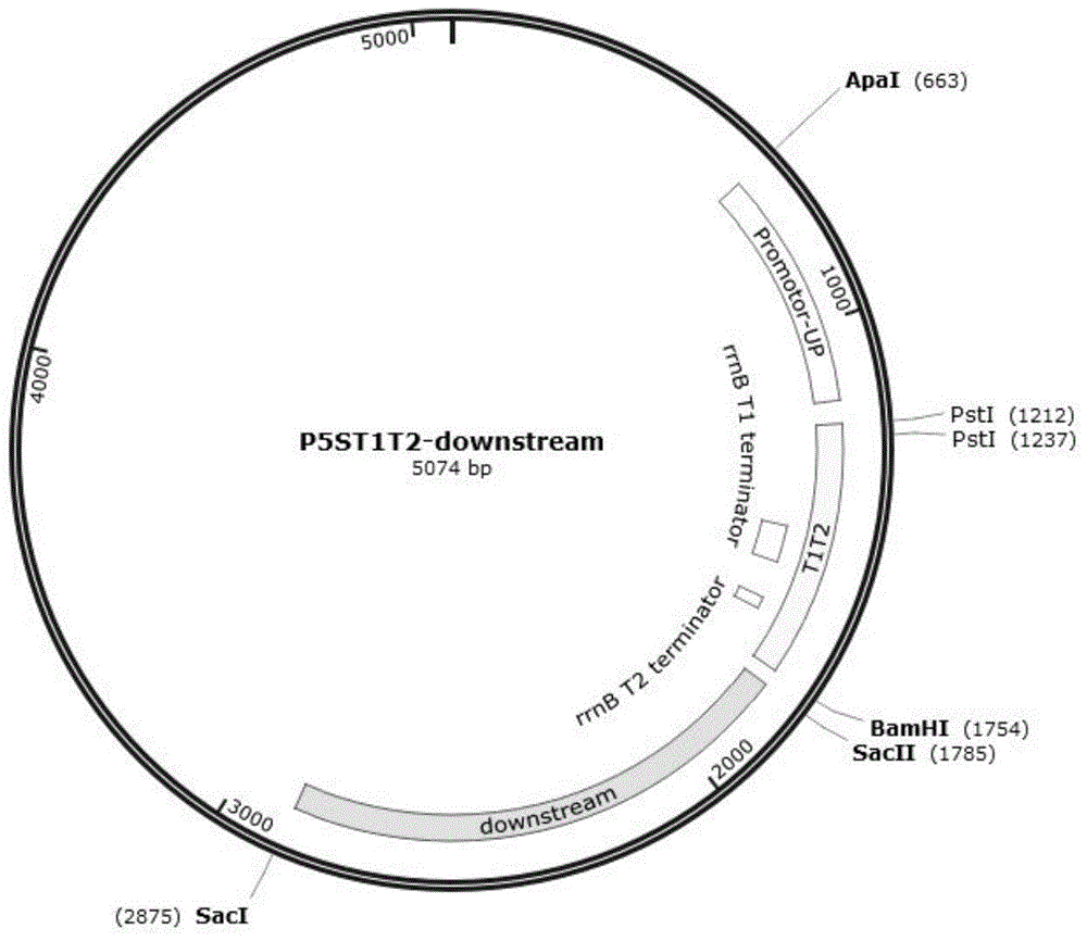 生产纤维素酶的集胞藻PCC6803的基因工程藻株及其构建方法与流程