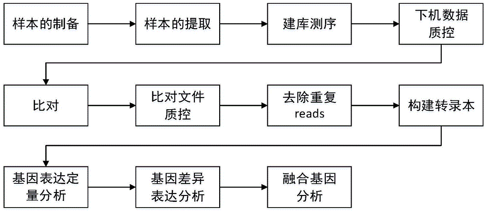 一种石蜡切片组织rna分析方法与流程