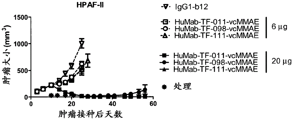 针对组织因子的人抗体药物缀合物的制作方法