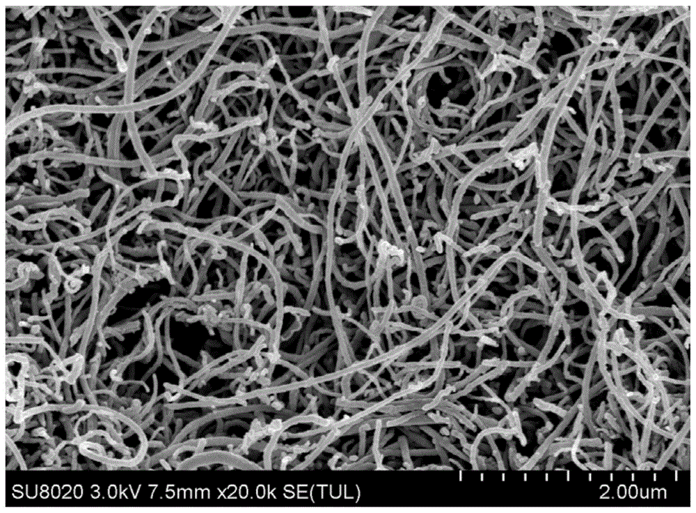 一种碳纳米管表面改性中空纤维膜制备方法及其应用与流程