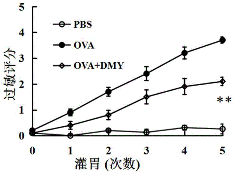 二氢杨梅素在制备抗食物过敏药物中的应用的制作方法