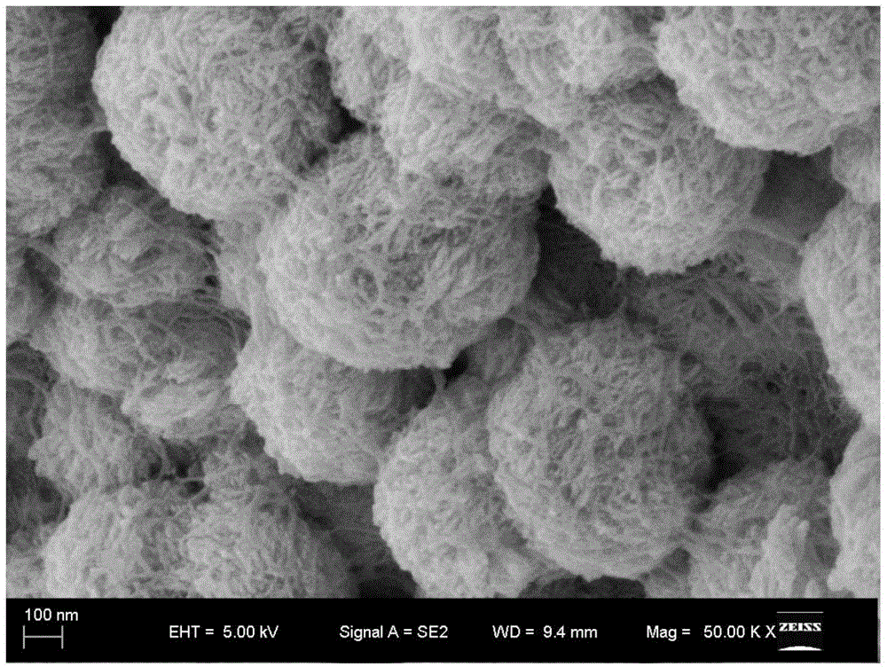 一种生物模板法构筑多级结构硫化铜纳米酶的方法与流程