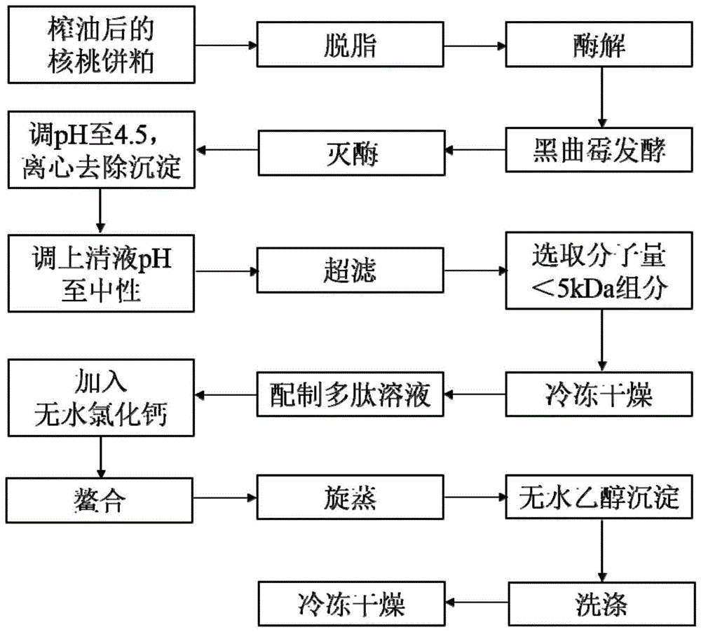 核桃肽钙螯合物及其制备方法与流程