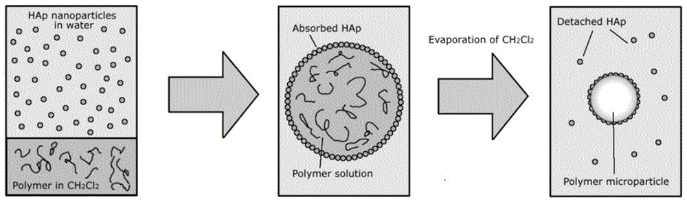 纳米羟基磷灰石包覆的中空聚合物微球及其制备方法和应用与流程