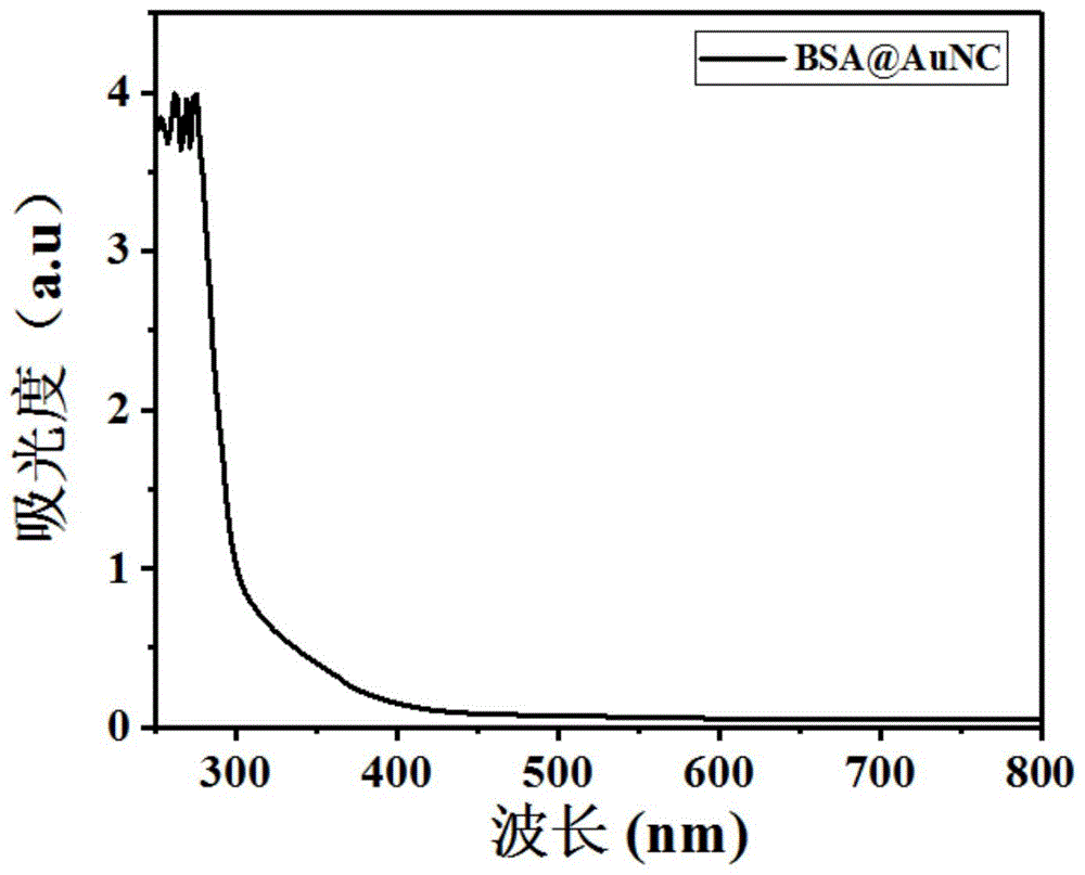 一种抗菌纳米探针BSA@AuNc-AMP-Ce6及其制备方法和应用与流程