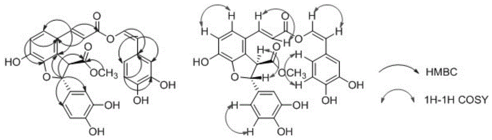 一种苯丙素类化合物及其制备方法与流程