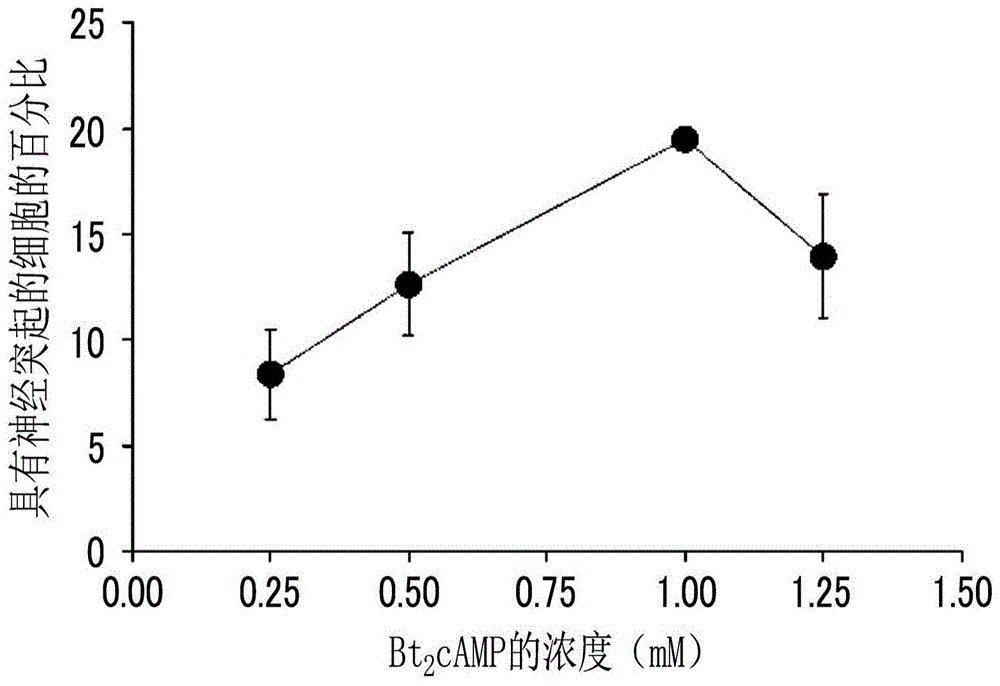 神经生长促进剂的制作方法