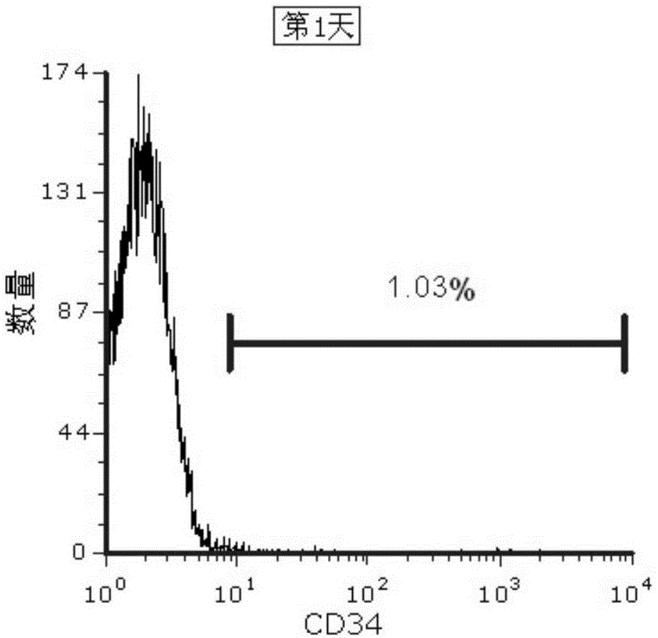 一种CD34+造血干细胞的培养方法与流程