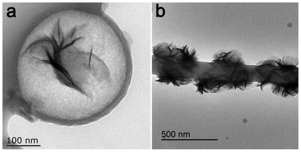 珍珠项链多级结构MoS2@C-CNFs钠离子电池负极材料及其制备方法与流程