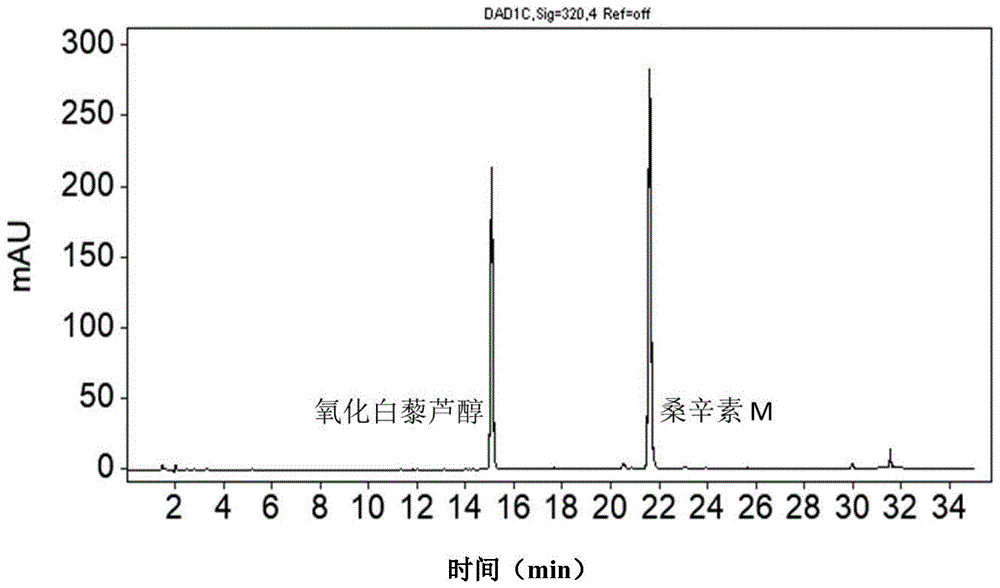 桑白皮提取物及其制备方法与流程