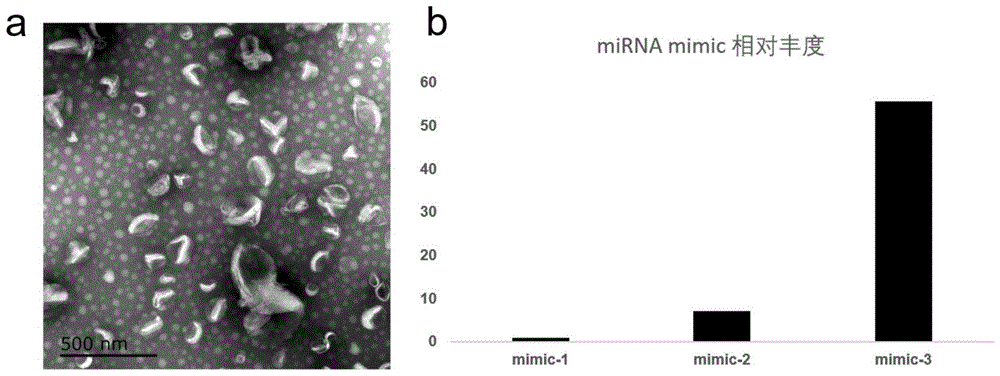 含mirnamimic的人造脂质体及其制备方法与应用与流程