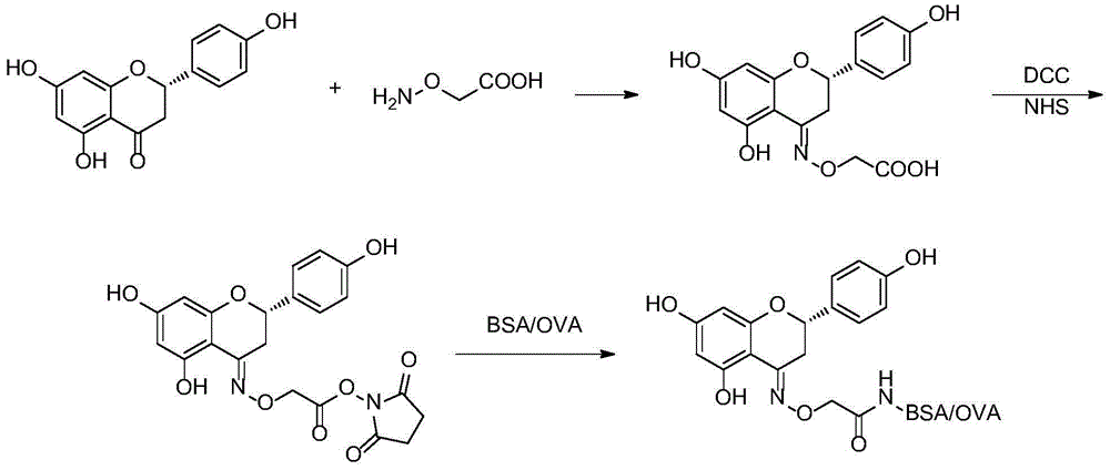 柚皮素抗原及其制备方法与应用与流程